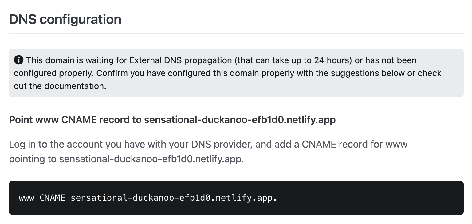 Copying the DNS target information from the Netlify interface