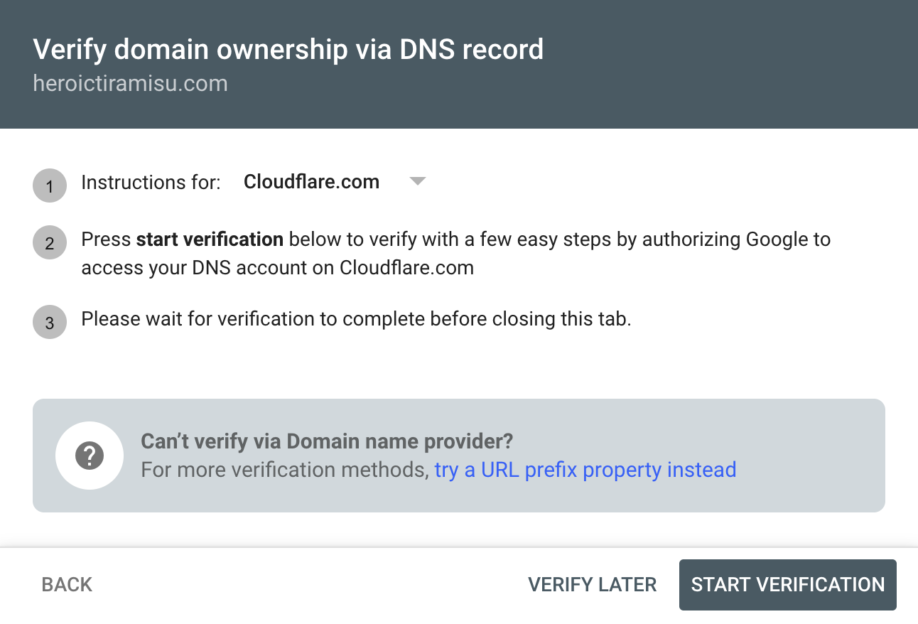 DNS verification in Google Search Console